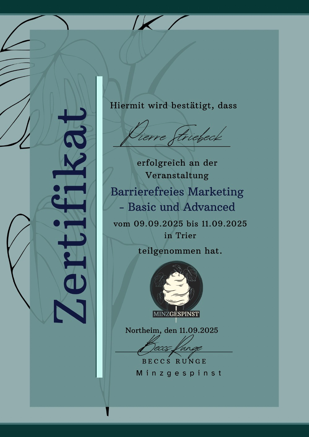 Zertifikat Barrierefreiheit Pierre Striebeck